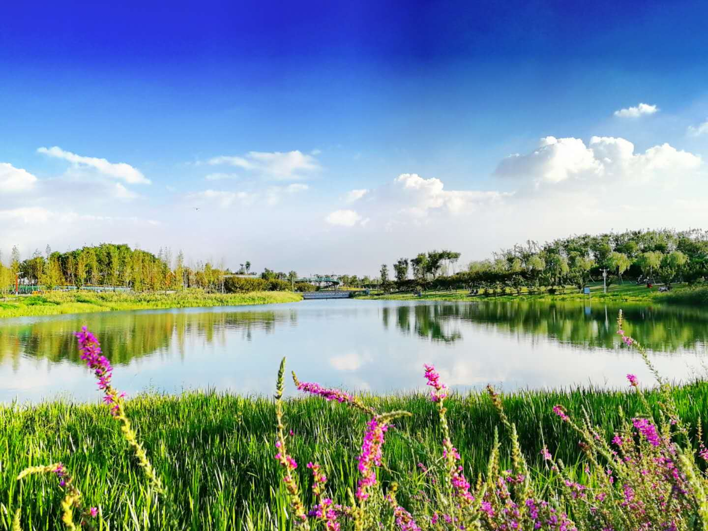 汝州市-丹陽湖一角.png