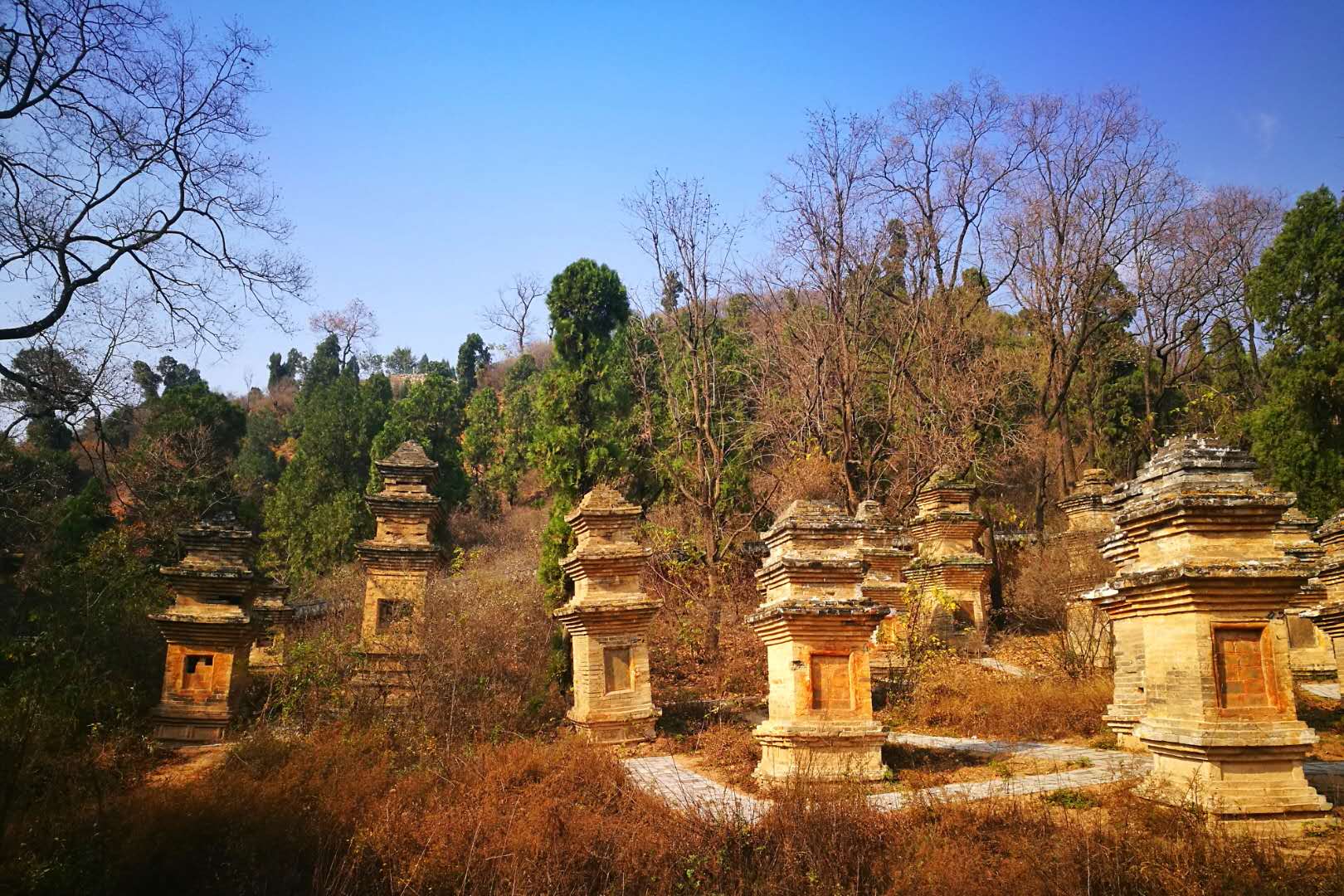 汝州市-風穴寺-下塔林，也是風穴寺最大的一個塔林，現(xiàn)存62座古塔，1個墓碑和1土冢.jpg