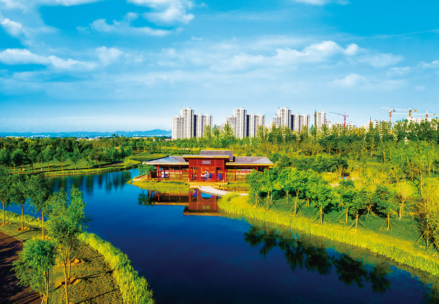 中央公園5.jpg